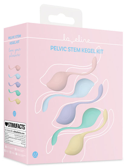 Kit de 5 Boules de Geisha Stemkit